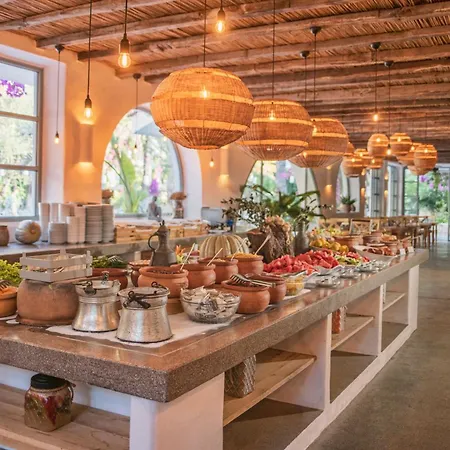 Hotel Flamingo Luxury-pet Friendly Fethiye
