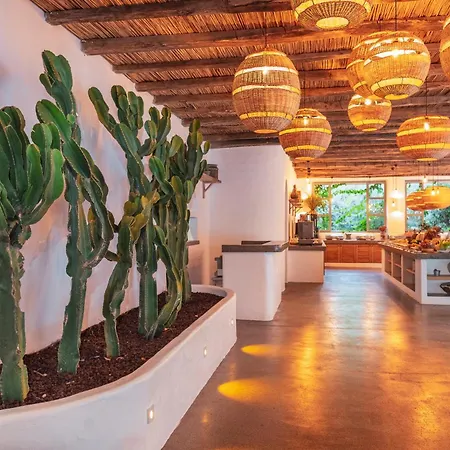 Flamingo Luxury-pet Friendly *