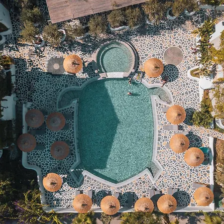 Flamingo Luxury-pet Friendly *