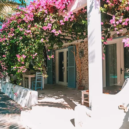 Flamingo Luxury-pet Friendly Hotel *